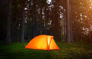 Image showing 	Camping in the Forest