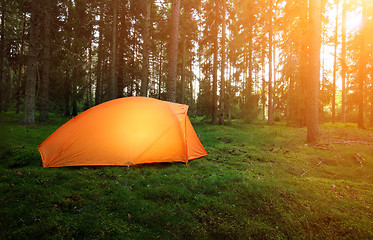 Image showing Camping in the Forest