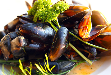 Image showing Fresh mediterranean clams