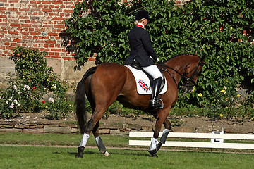 Image showing horse competition