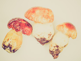 Image showing Retro look Porcini Mushroom