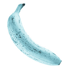 Image showing Banana fruit