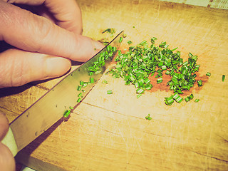 Image showing Retro look Cutting rosemary