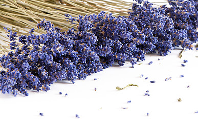 Image showing Dried Lavender