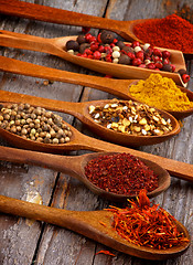 Image showing Spicy Spices
