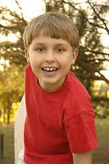 Image showing Happy boy on the fence