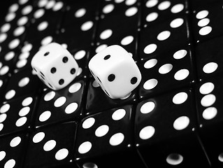 Image showing Two White Dice