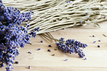 Image showing Dried Lavender
