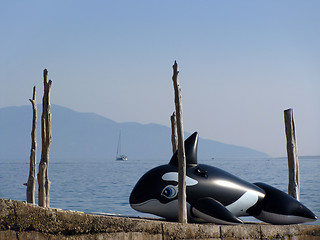 Image showing Inflatable Orca Whale resting near sea