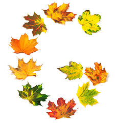 Image showing Letter G composed of autumn maple leafs