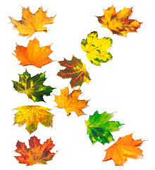 Image showing Letter K composed of autumn maple leafs