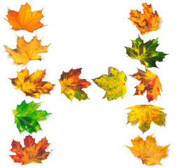 Image showing Letter H composed of autumn maple leafs