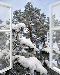 Image showing open window to snowy winter forest