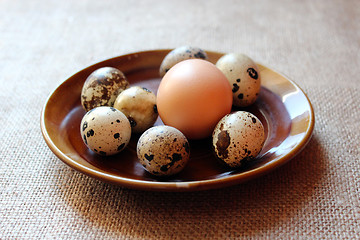 Image showing some eggs of the quail and one of the hen