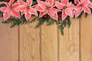 Image showing Poinsettia Flowers on Oak