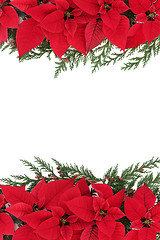 Image showing Poinsettia Flower Border