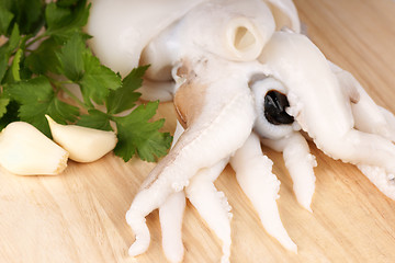 Image showing Raw cuttlefish