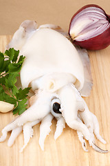 Image showing Raw cuttlefish