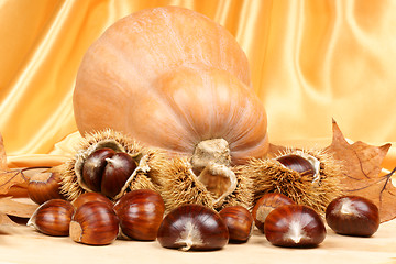 Image showing Chestnuts and pumpkin