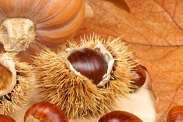 Image showing Chestnuts and pumpkin