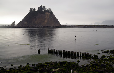 Image showing Pelican Stacks Bluffs Pacific Ocean West Coast