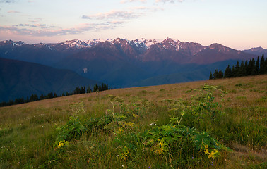 Image showing Early Morning Light Olympic Mountains Hurricane Ridge