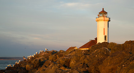 Image showing Seagulls Rest Shorebirds Rock Barrier Point Wilson Lighthouse