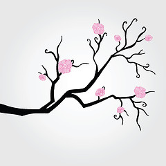 Image showing Branch in bloom.
