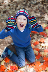 Image showing kid at fall