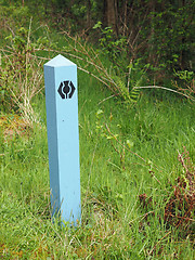 Image showing thistle way mark, Great Glen Way, Scotland