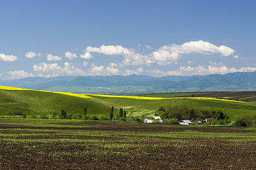 Image showing Spring field