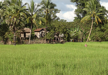 Image showing rural scenery in Thailand