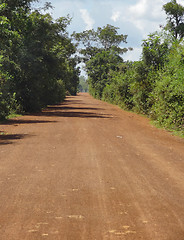 Image showing jungle road