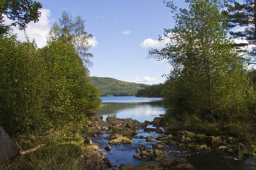 Image showing Nature and water
