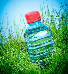 Image showing Water bottle on the grass