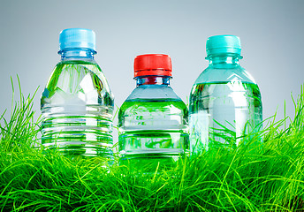 Image showing Water bottle on the grass