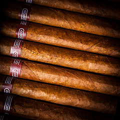 Image showing Cigars in humidor