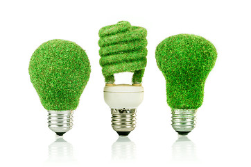 Image showing Concept Eco light bulb