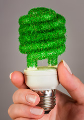 Image showing Concept Eco light bulb