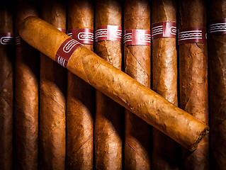 Image showing Cigars in humidor