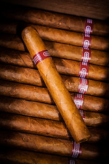 Image showing Cigars in humidor