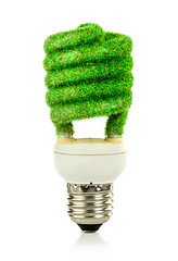 Image showing Concept Eco light bulb