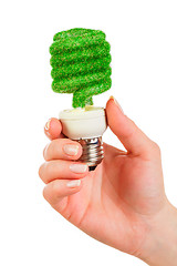 Image showing Concept Eco light bulb