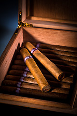 Image showing Cigars in humidor