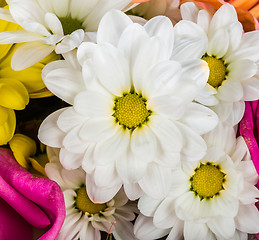 Image showing Flowers closeup