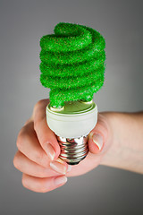 Image showing Concept Eco light bulb