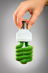 Image showing Concept Eco light bulb