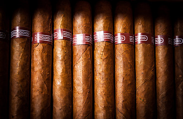 Image showing Cigars in humidor