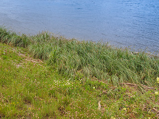 Image showing Elbe river