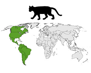 Image showing Cougar range map